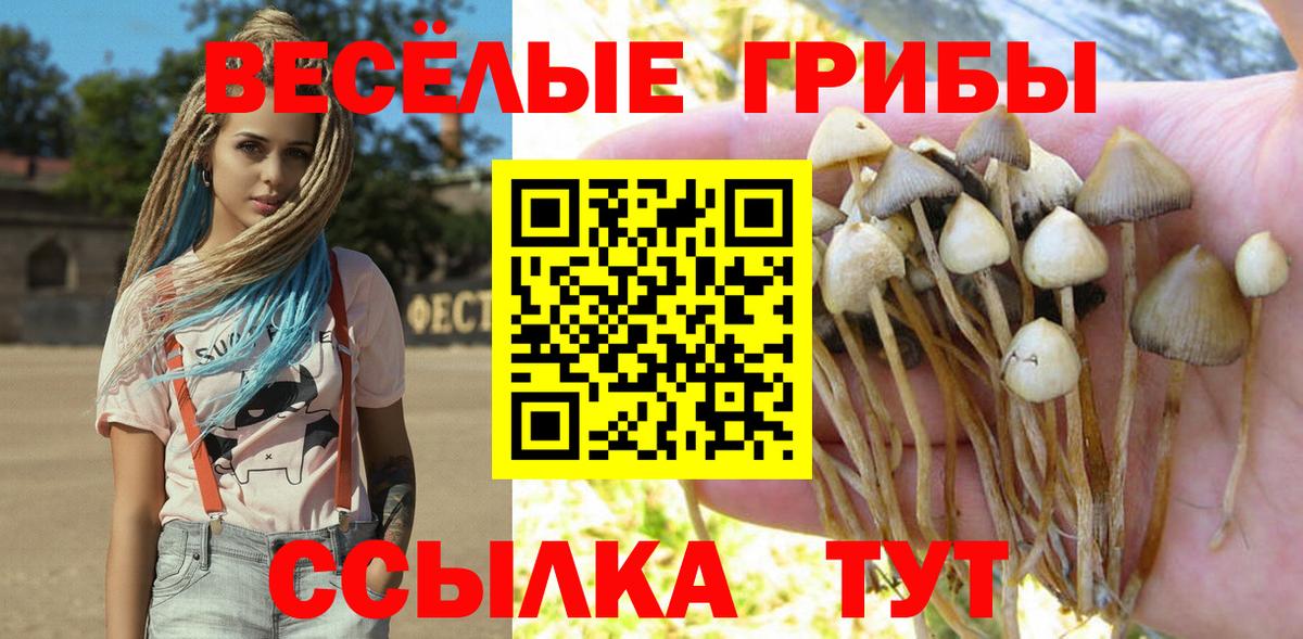 Галлюциногенные грибы MAGIC MUSHROOMS  Псилоцибиновые грибы мицелий  Зеленогорск  Вход с VPN 