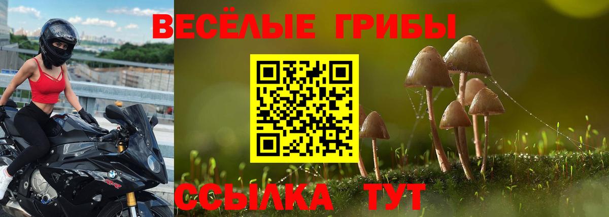 Галлюциногенные грибы Cubensis Зеленогорск